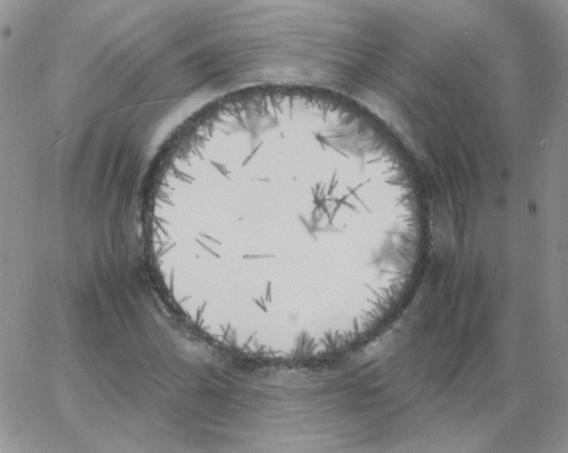 X0000062921070200602031916