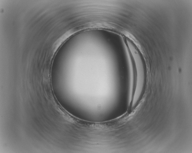 X0000062921089200602031916