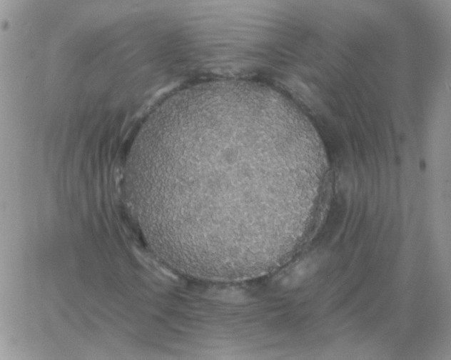 X0000062921106200602031915