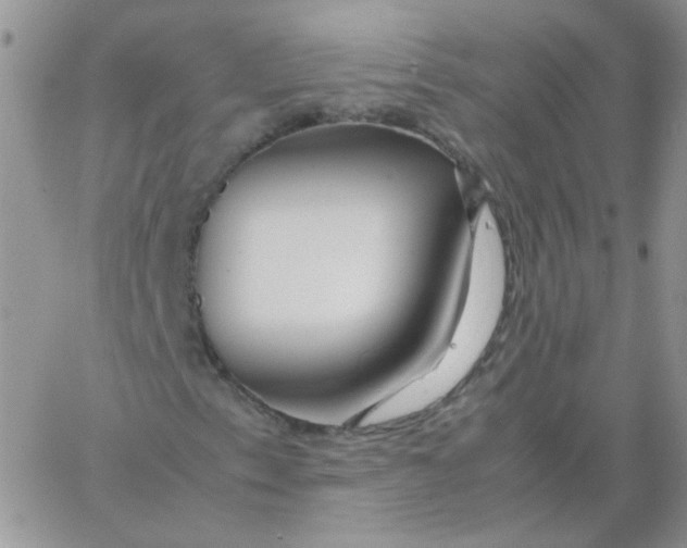 X0000062921153200602031915