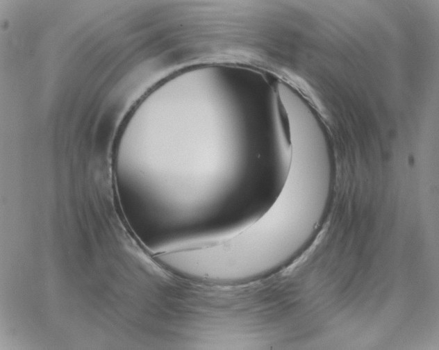 X0000062921184200602031914
