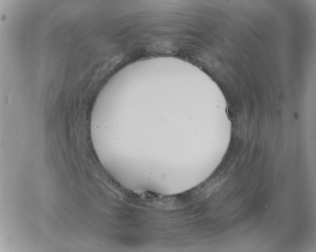 X0000062921201200602031913