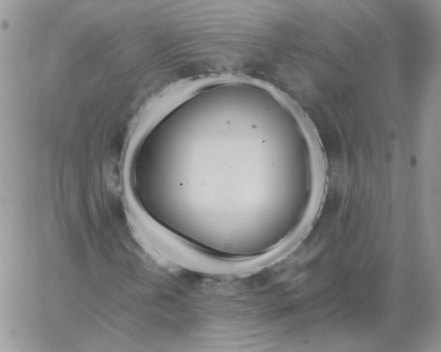 X0000062921202200602031913