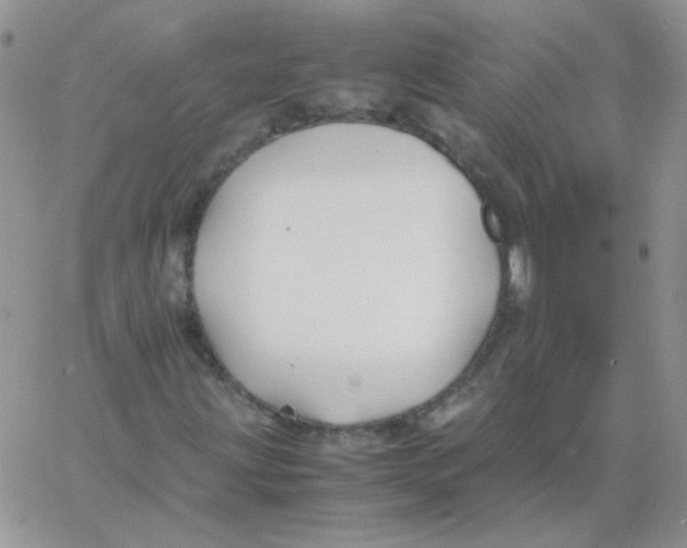 X0000062921203200602031913