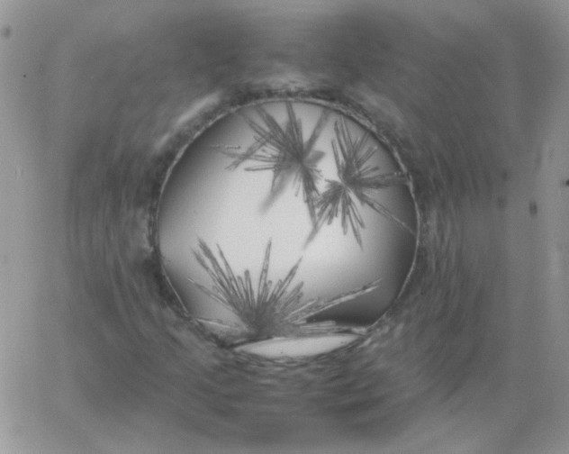 X0000062921205200602031913