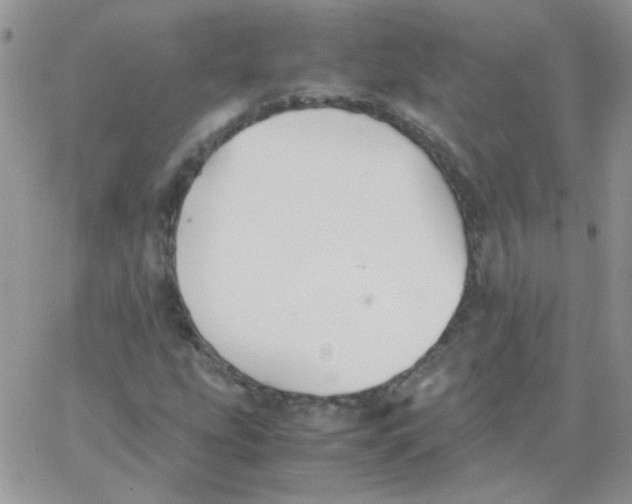 X0000062921207200602031913