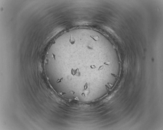 X0000062921209200602031913