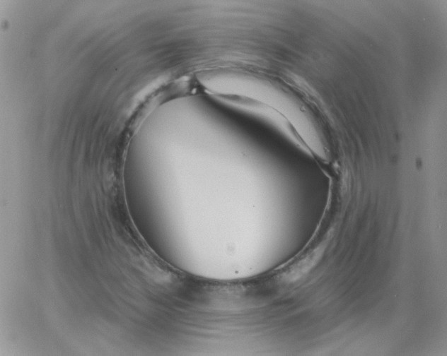 X0000062921210200602031913