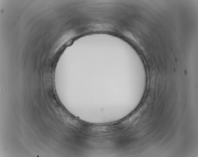 X0000062921211200602031913