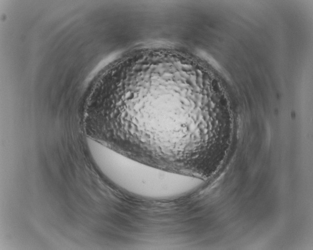 X0000062921213200602031913