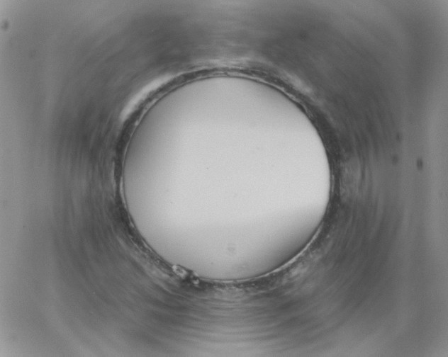 X0000062921214200602031913