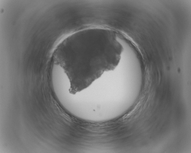 X0000062921215200602031913