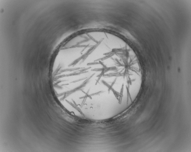 X0000062921216200602031913