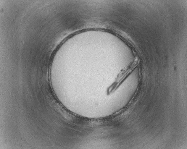 X0000062921220200602031913