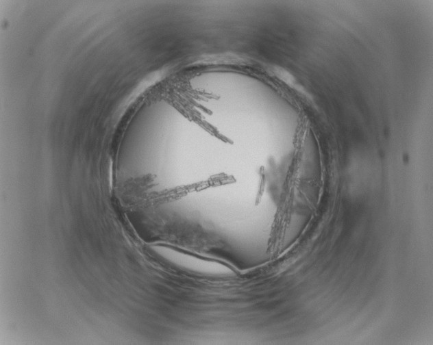 X0000062921221200602031913