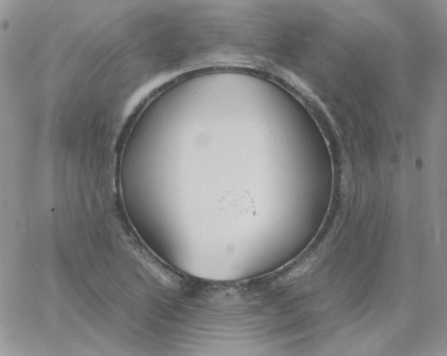 X0000062921222200602031913