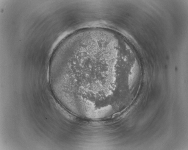 X0000062921224200602031913