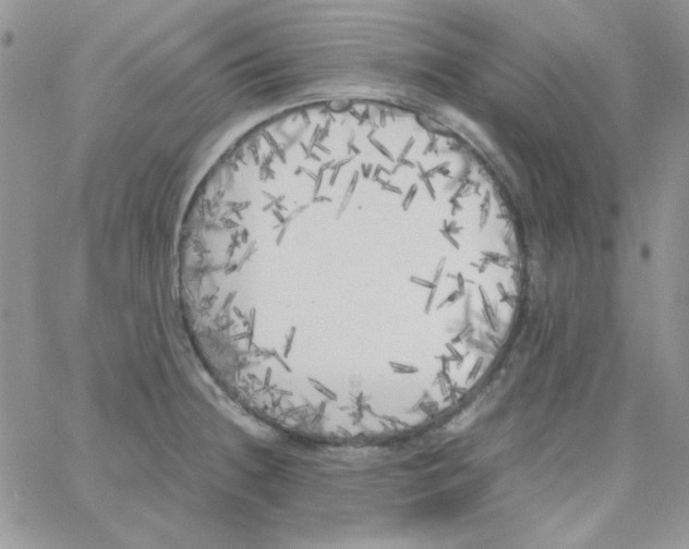X0000062921236200602031914