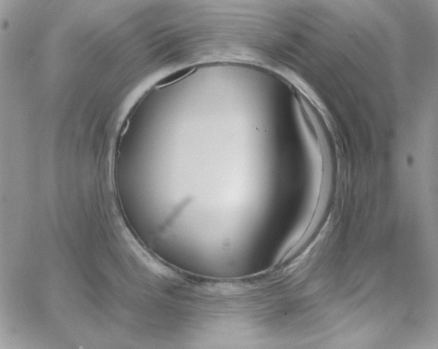 X0000062921246200602031914