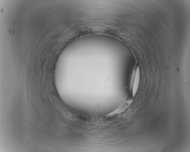 X0000062921249200602031913