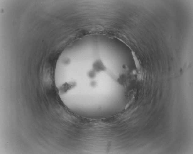 X0000062921250200602031913