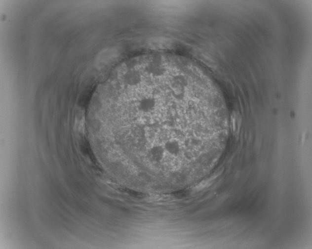 X0000062921251200602031913