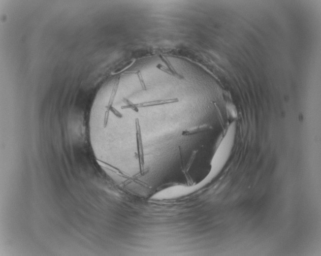 X0000062921252200602031913