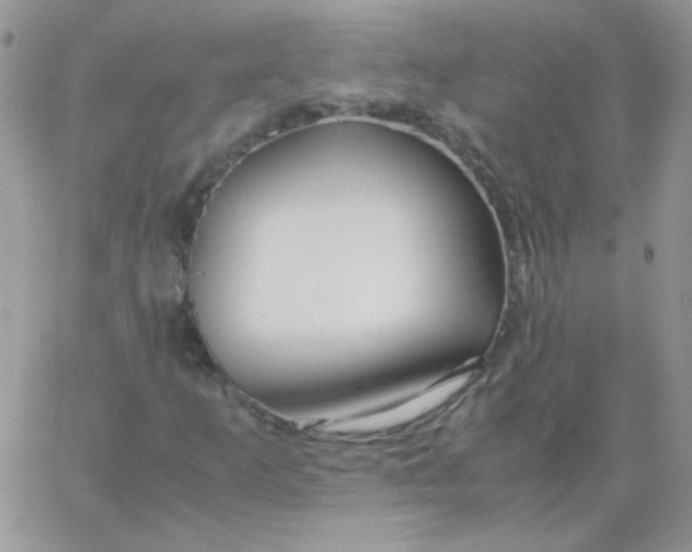 X0000062921253200602031913