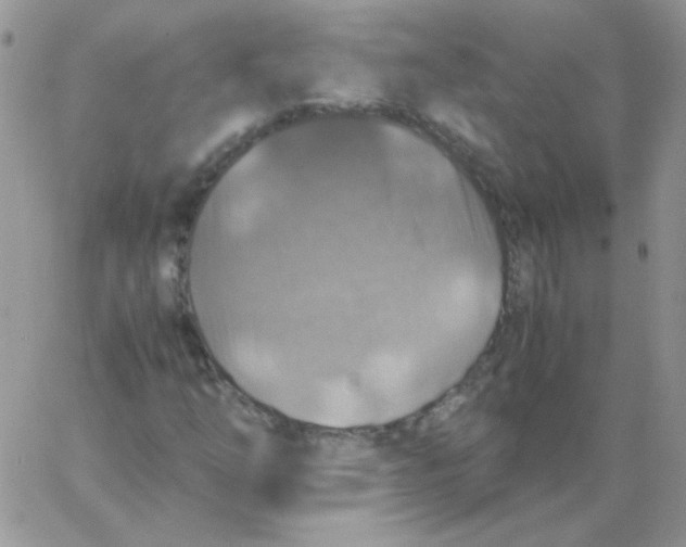 X0000062921254200602031913