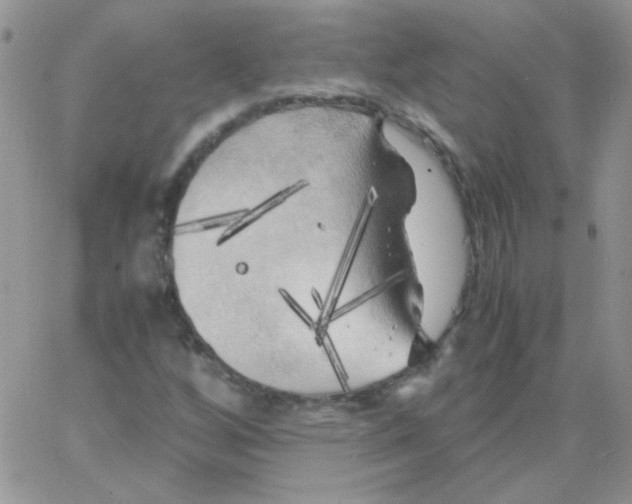 X0000062921256200602031913