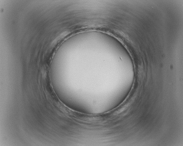 X0000062921257200602031913