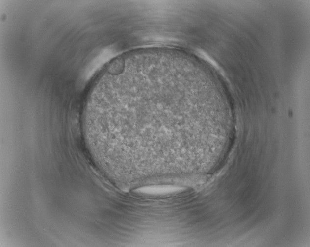 X0000062921259200602031913