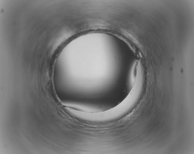 X0000062921261200602031913
