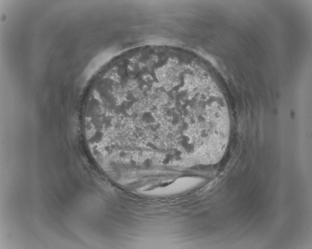 X0000062921263200602031913