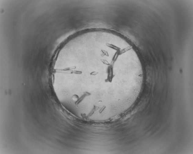 X0000062921264200602031913