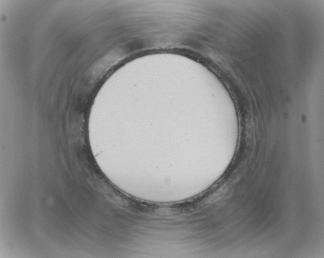 X0000062921265200602031913