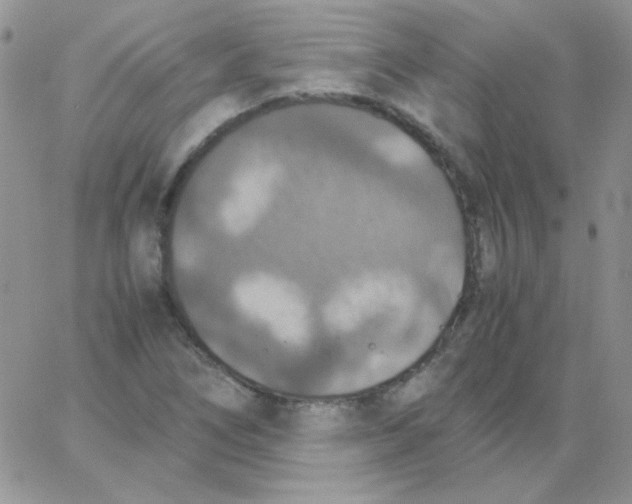 X0000062921266200602031913