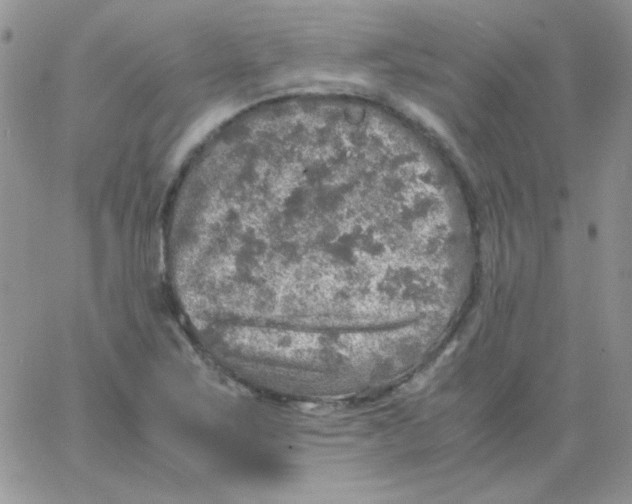 X0000062921267200602031913