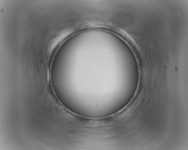 X0000062921269200602031913