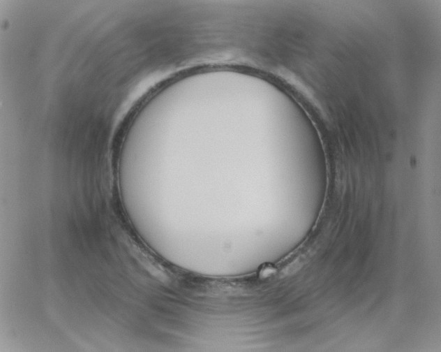 X0000062921270200602031913