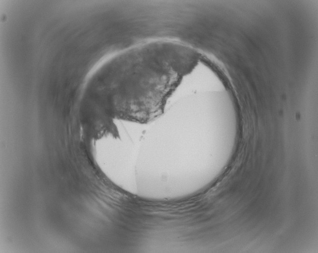 X0000062921271200602031913