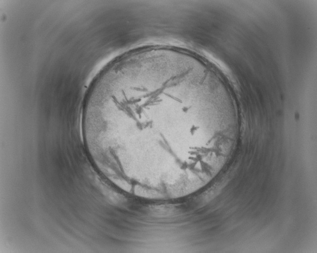 X0000062921272200602031913