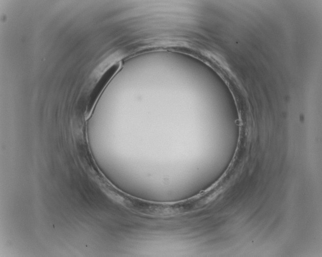 X0000062921273200602031913