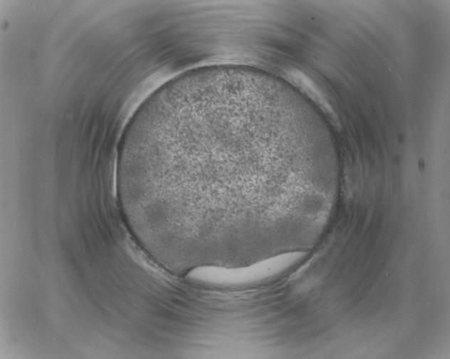 X0000062921276200602031913