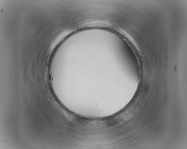 X0000062921277200602031913