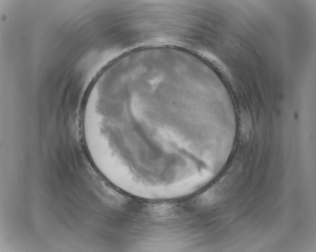 X0000062921278200602031913