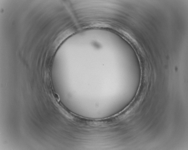 X0000062921281200602031913