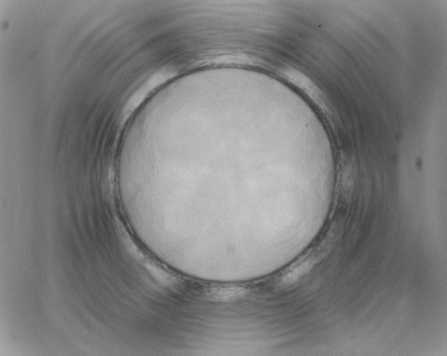 X0000062921282200602031913