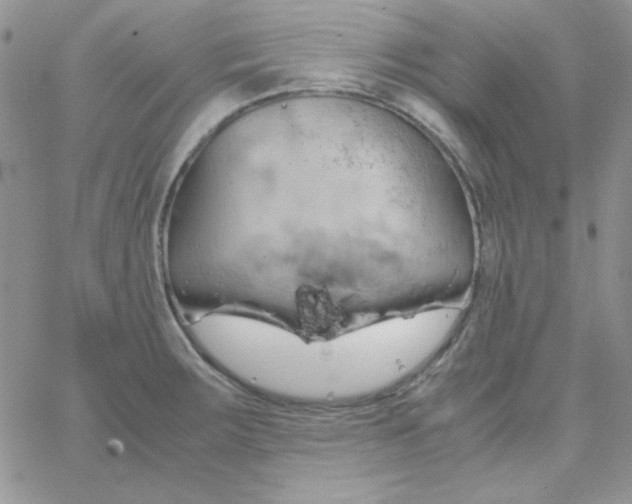 X0000062921283200602031913