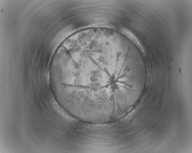 X0000062921284200602031913